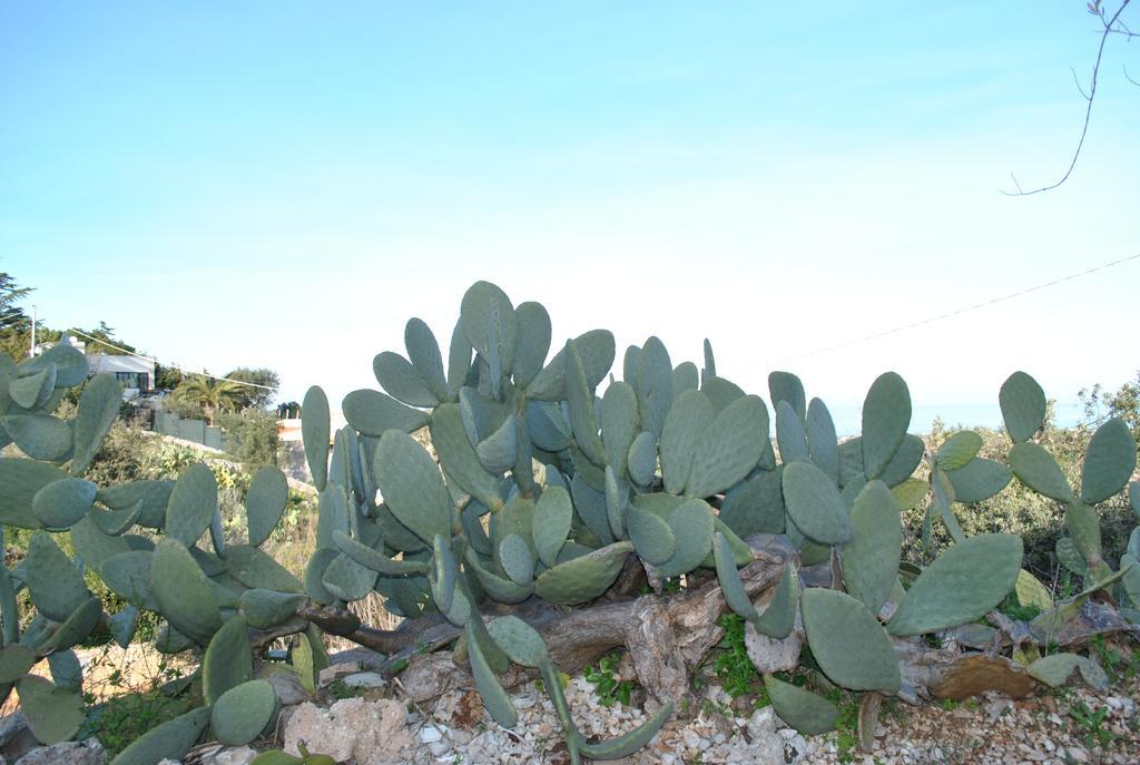 Le Dimore Del Sarto Polignano A Mare Exteriér fotografie